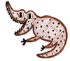 Crocodile
